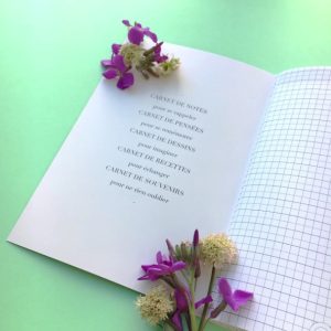 CARNET FRAISE 64 PAGES LIGNEES – Image 3