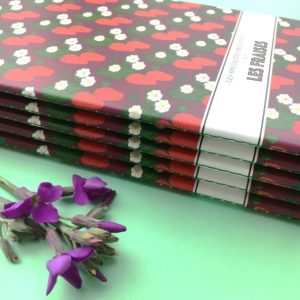 CARNET FRAISE 64 PAGES LIGNEES – Image 2