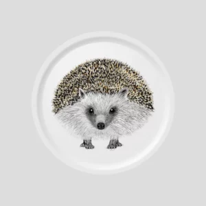 PLATEAU ROND HENRY