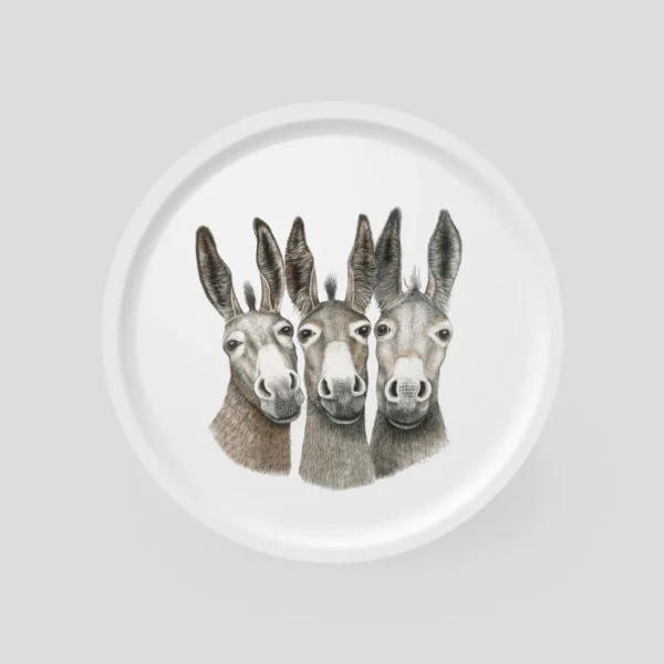 PLATEAU ROND AMIGOS
