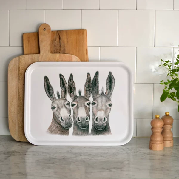 PLATEAU RECTANGULAIRE - AMIGOS