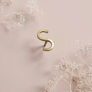 Clou mural en laiton - Lettre "S"