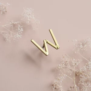 Clou mural en laiton - Lettre "W"