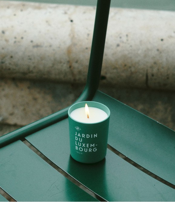 BOUGIE - JARDIN DU LUXEMBOURG