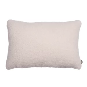 COUSSIN SCHUSS 60 * 40
