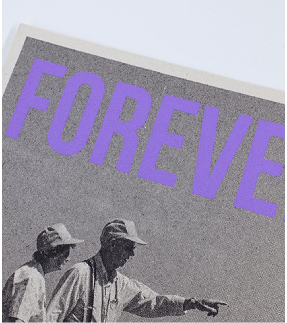 FOREVER – Image 4