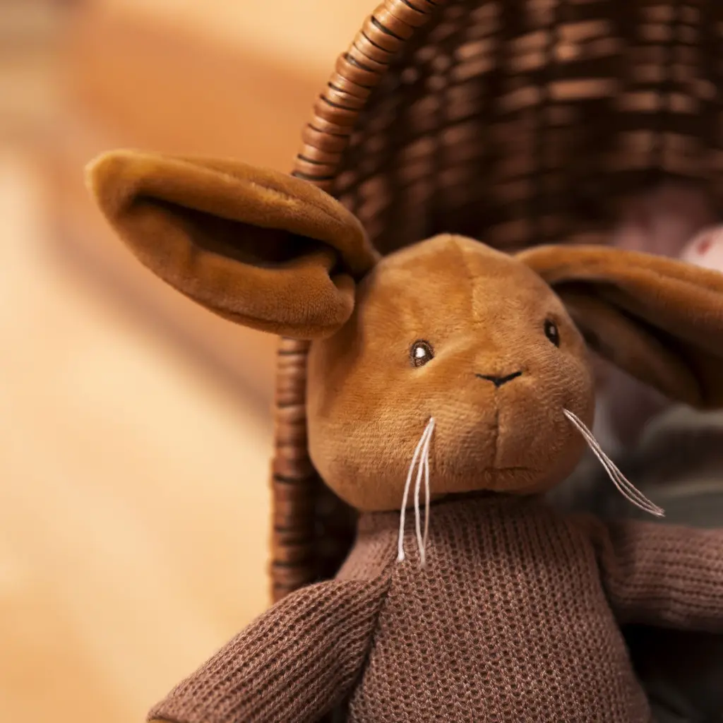 LENNY LE LAPIN – Image 7