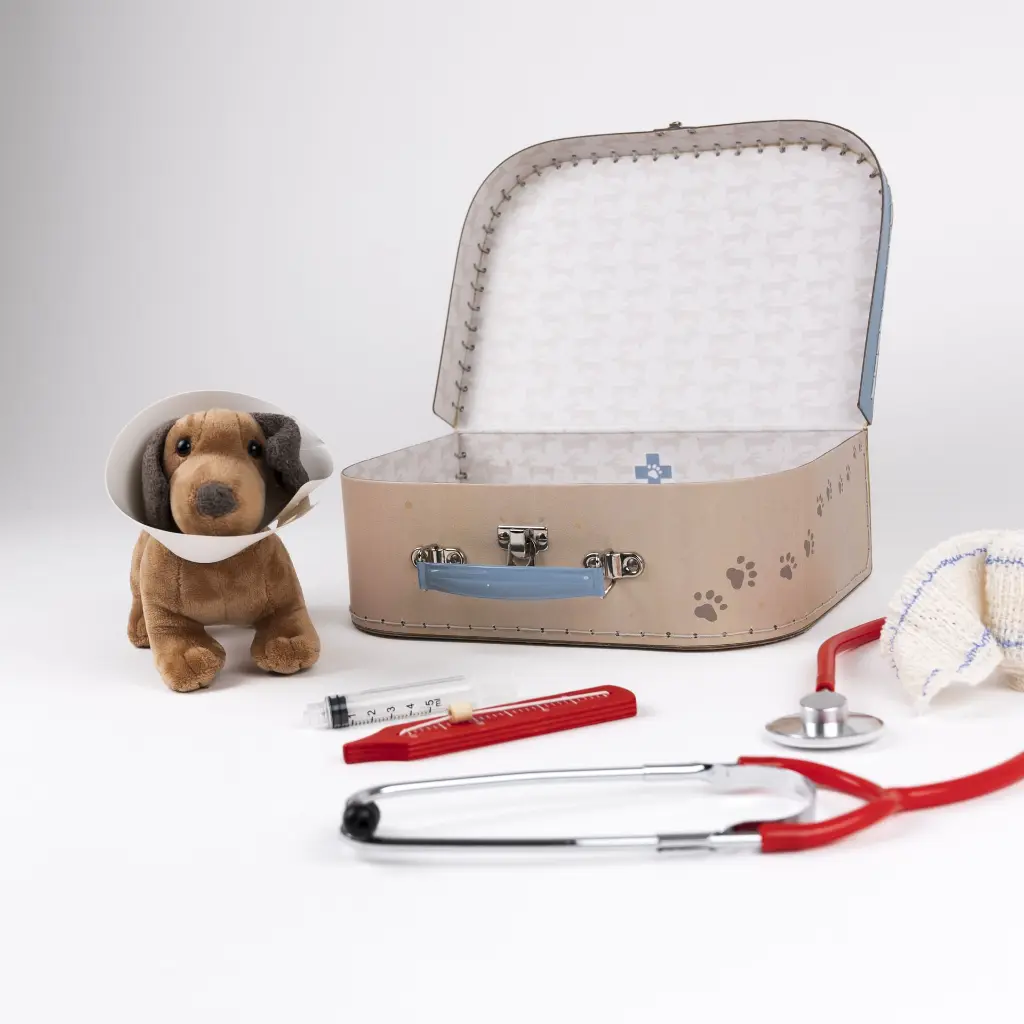 VALISE DE VETERINAIRE – Image 7