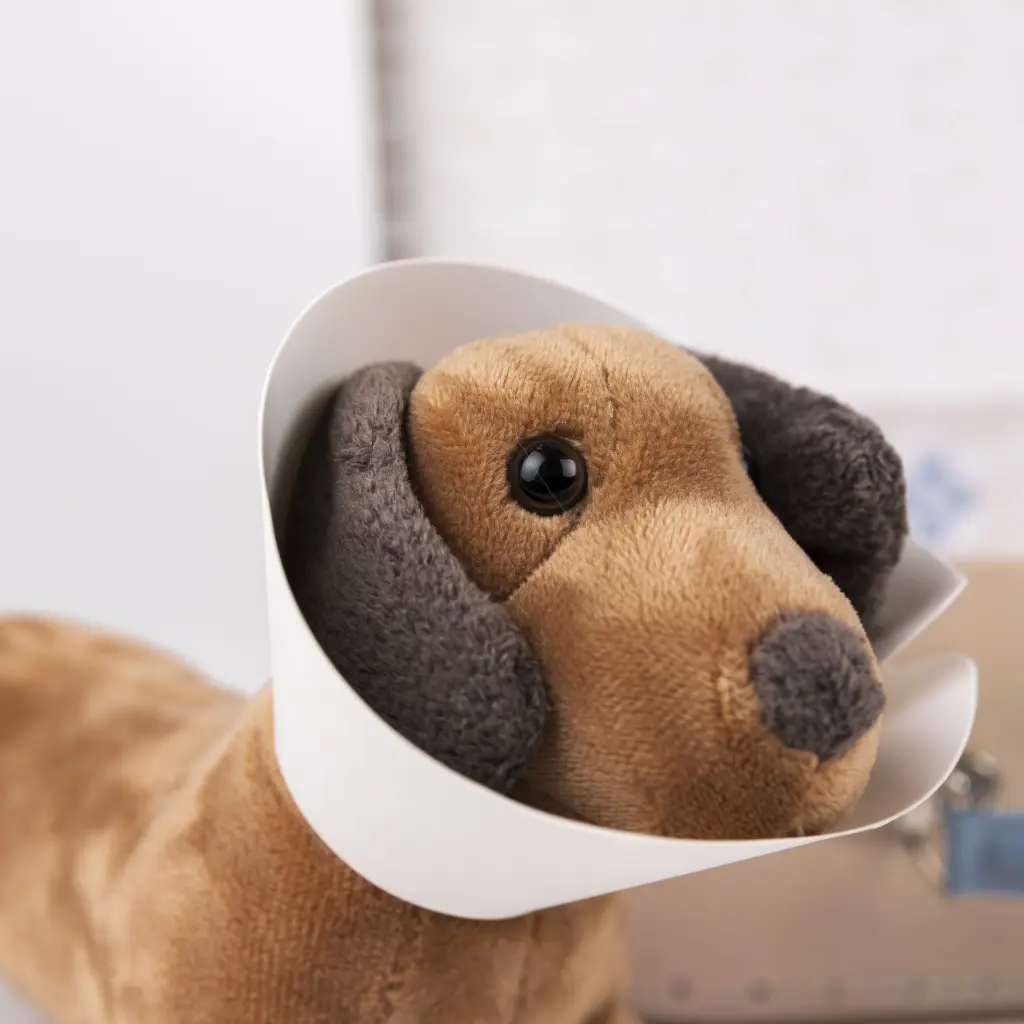 VALISE DE VETERINAIRE – Image 6