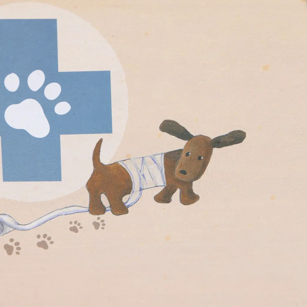 VALISE DE VETERINAIRE – Image 2