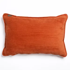 COUSSIN POP ORANGE 60*40