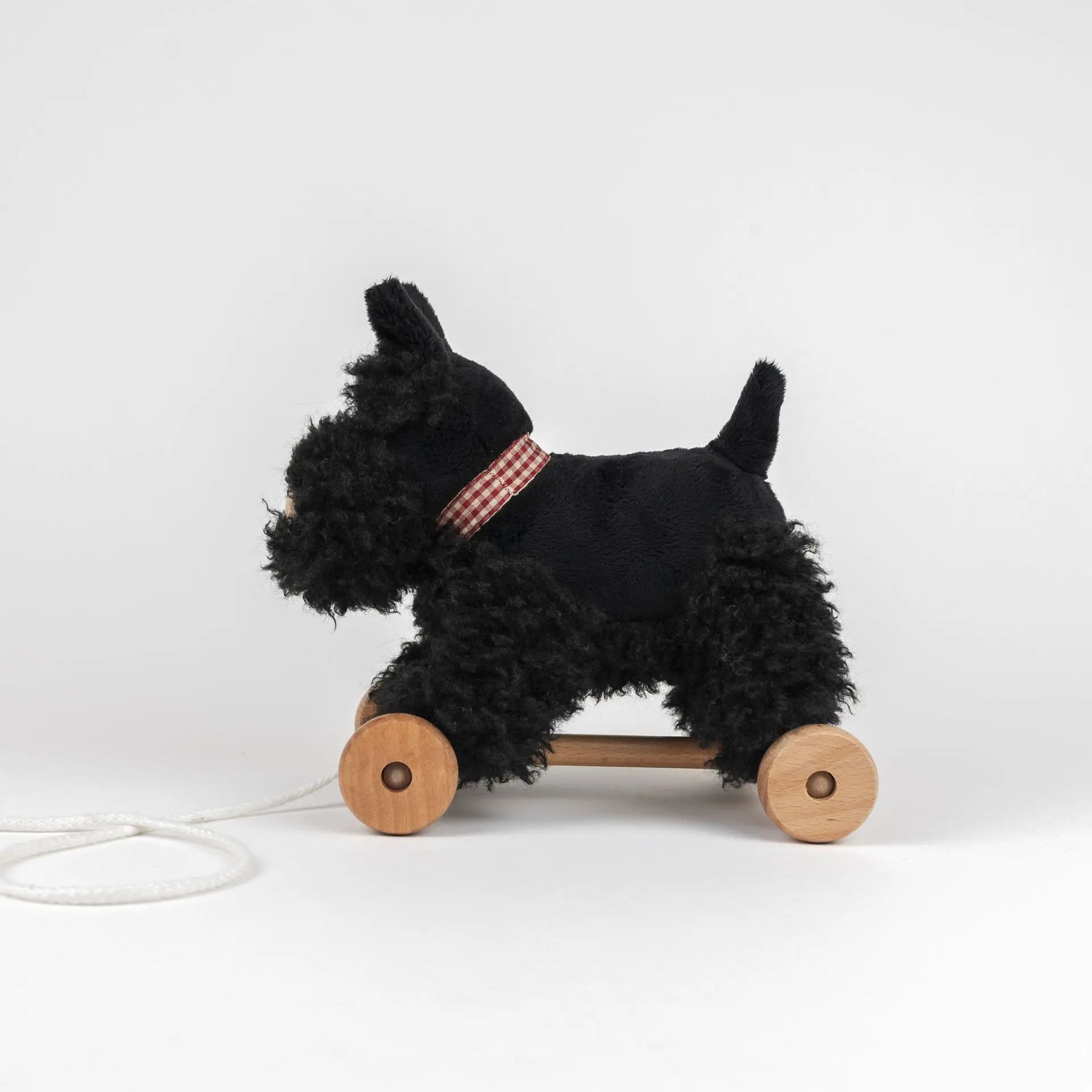 WALTER A TIRER – Image 4