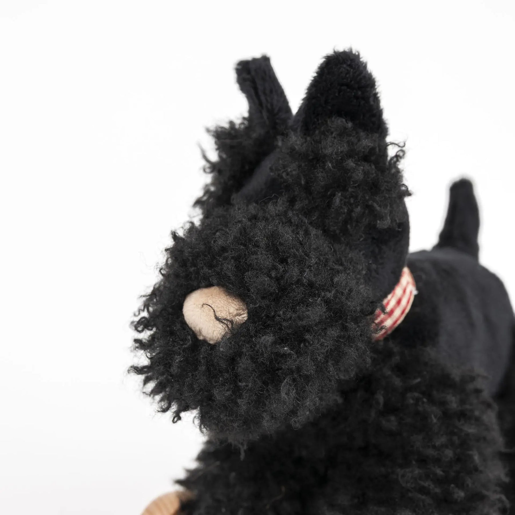 WALTER A TIRER – Image 2