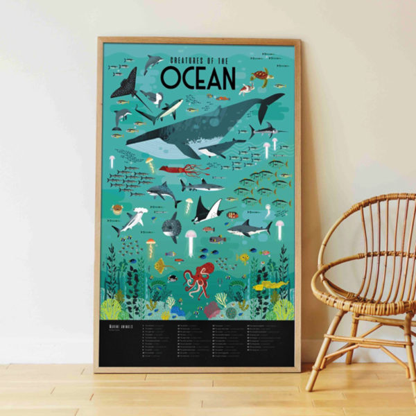 POSTER PÉDAGOGIQUE + 59 STICKERS OCÉANS (6-12 ANS) – Image 2