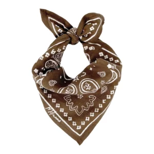 Petit foulard - OSCAR -  Bandana Marron
