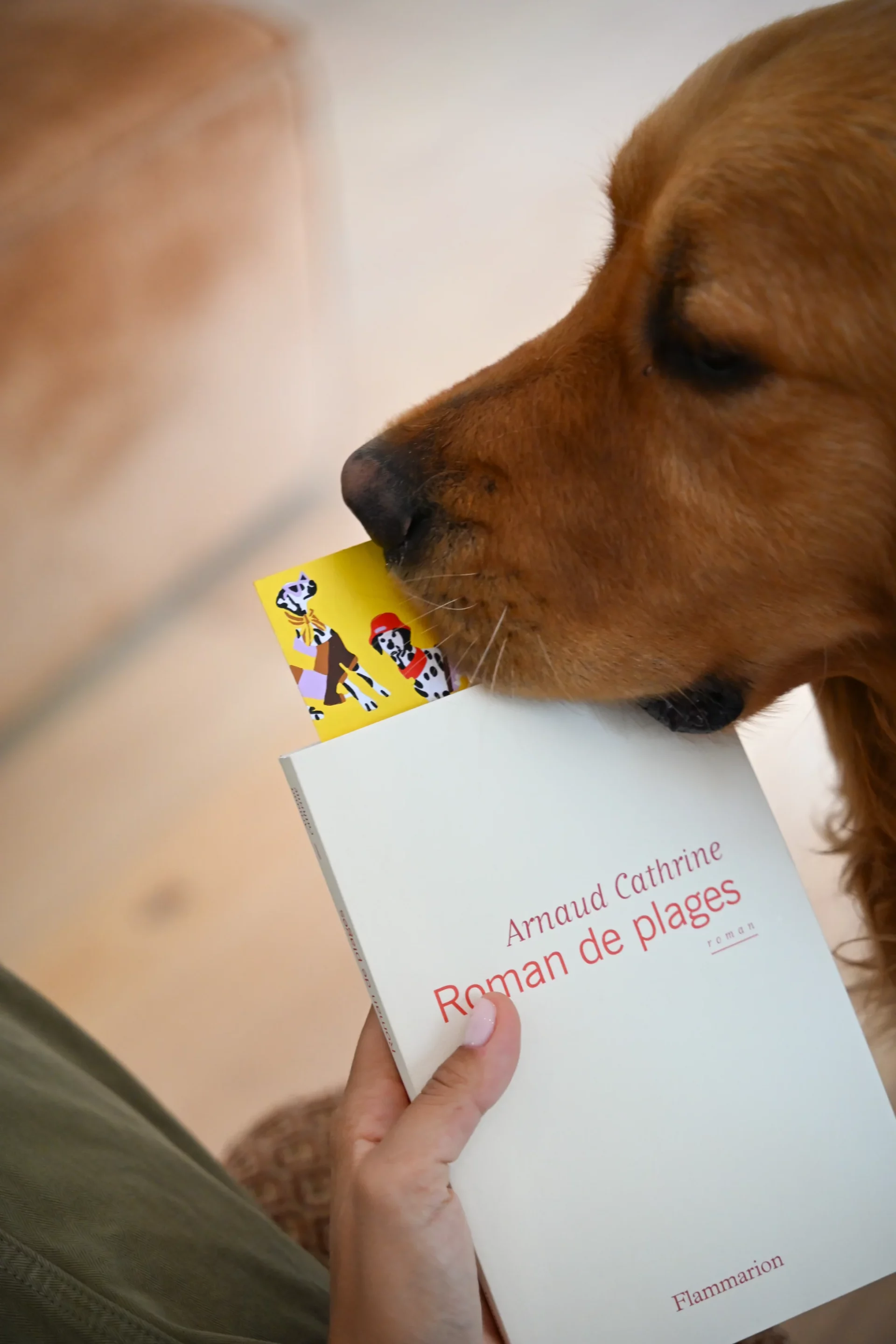 LOT DE 3 MARQUE-PAGES À PEINDRE PAR NUMÉRO HOT DOGS – Image 6